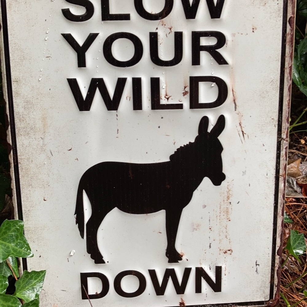 Humorous Donkey Sign - Picture 4 of 4
